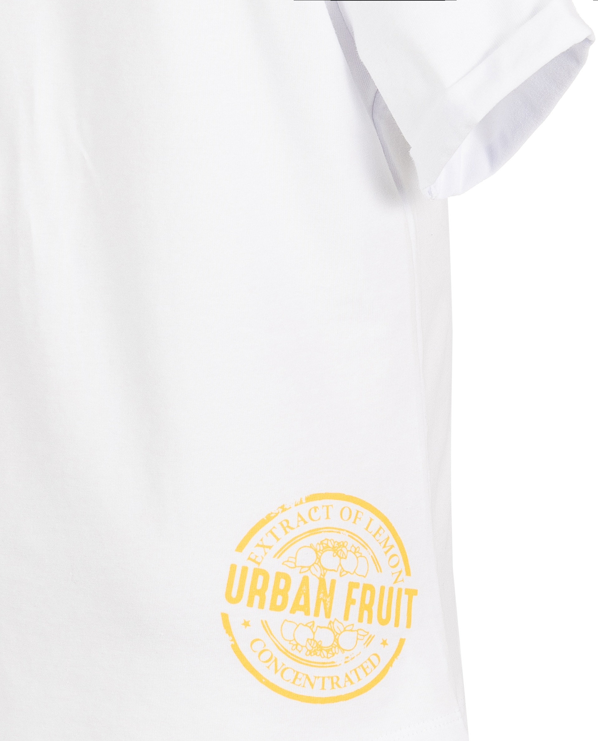 фото Белая футболка с принтом gulliver