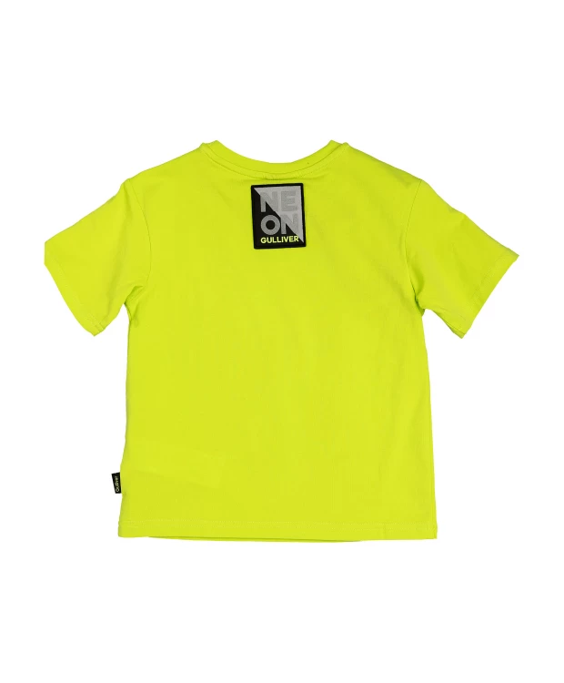 фото Салатовая футболка с принтом gulliver (116)