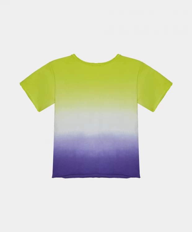 фото Футболка с гардиентом и принтом gulliver (110)