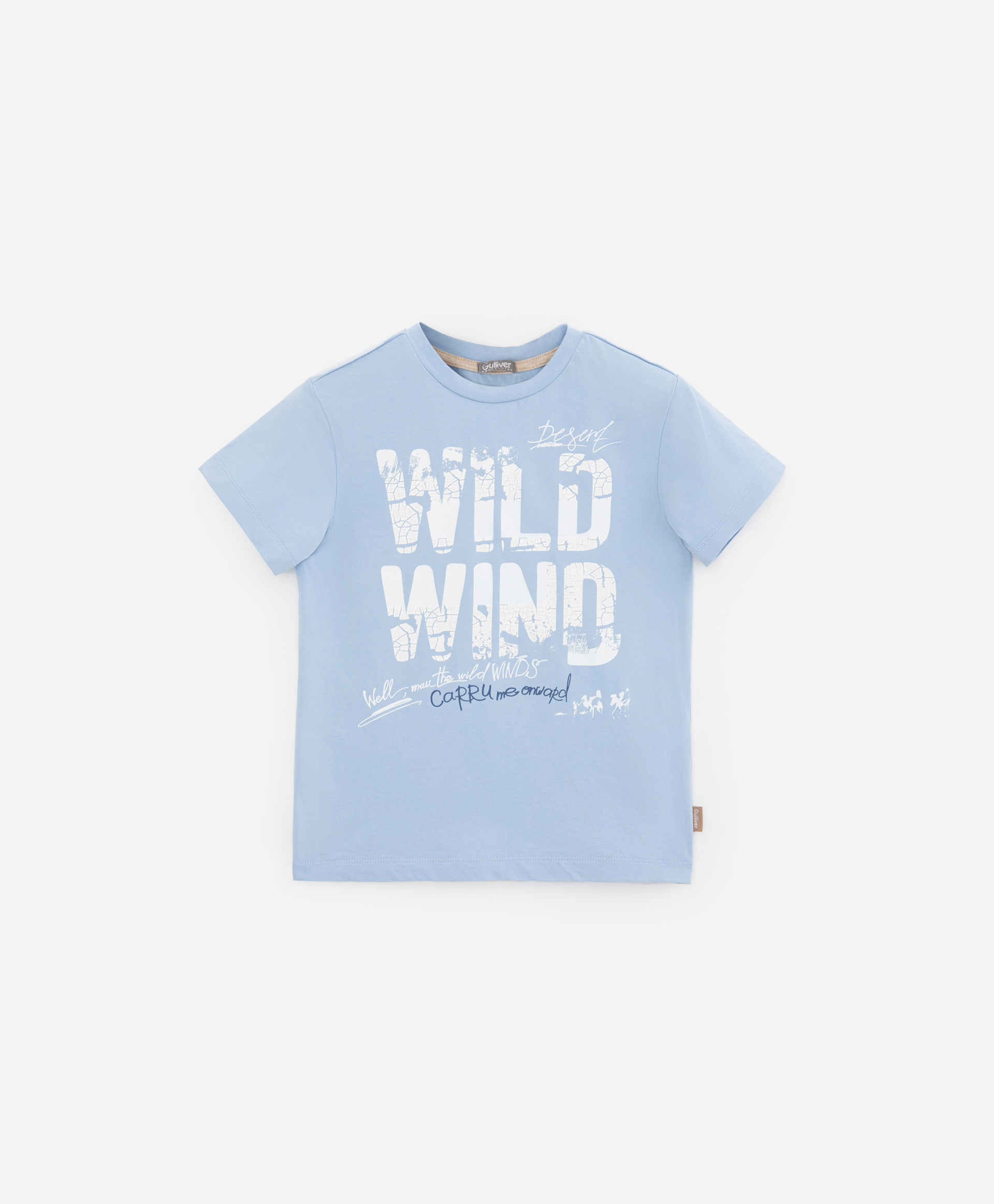 фото Футболка с винтажным принтом голубая gulliver