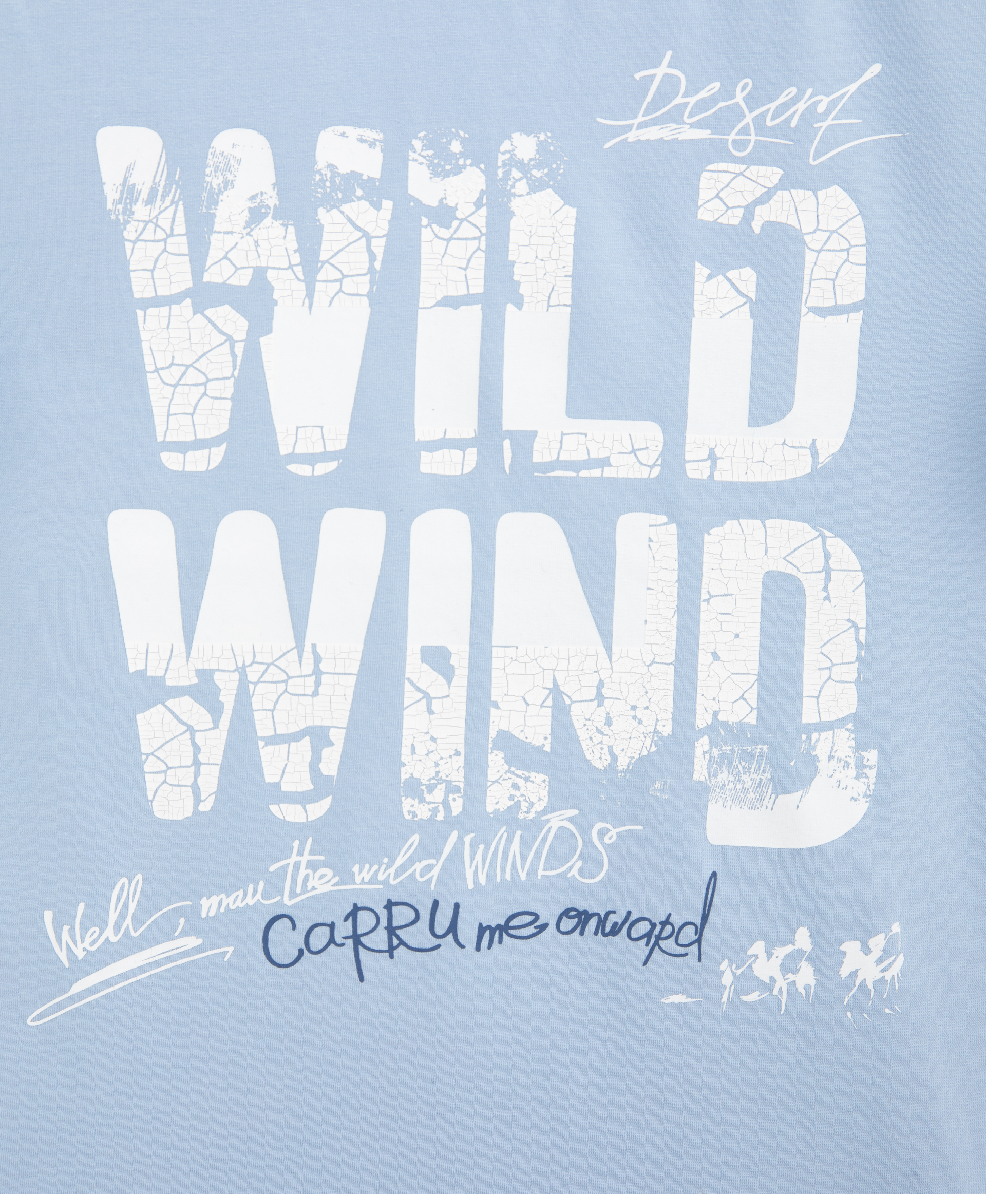 фото Футболка с винтажным принтом голубая gulliver