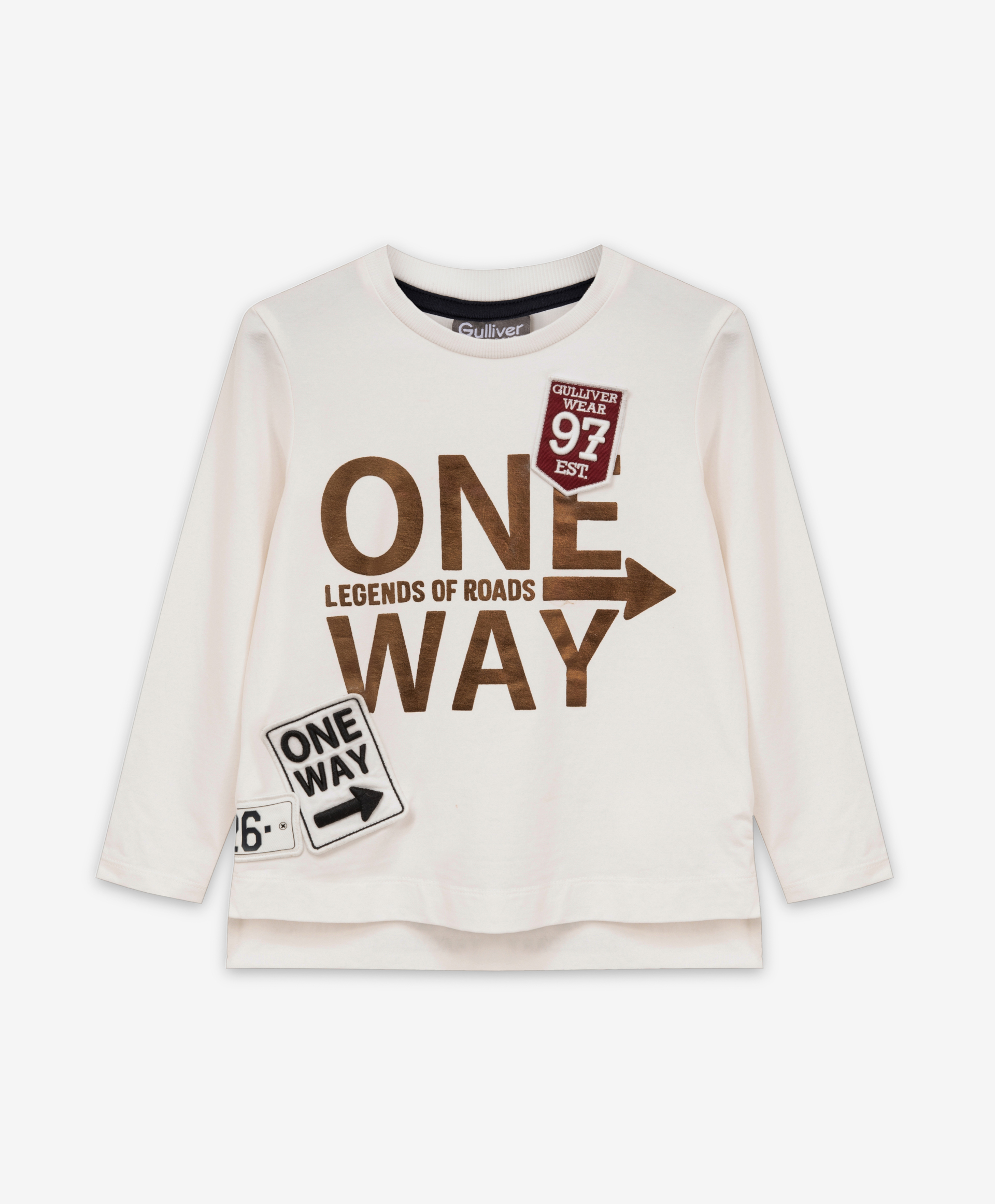 фото Футболка с принтом gulliver