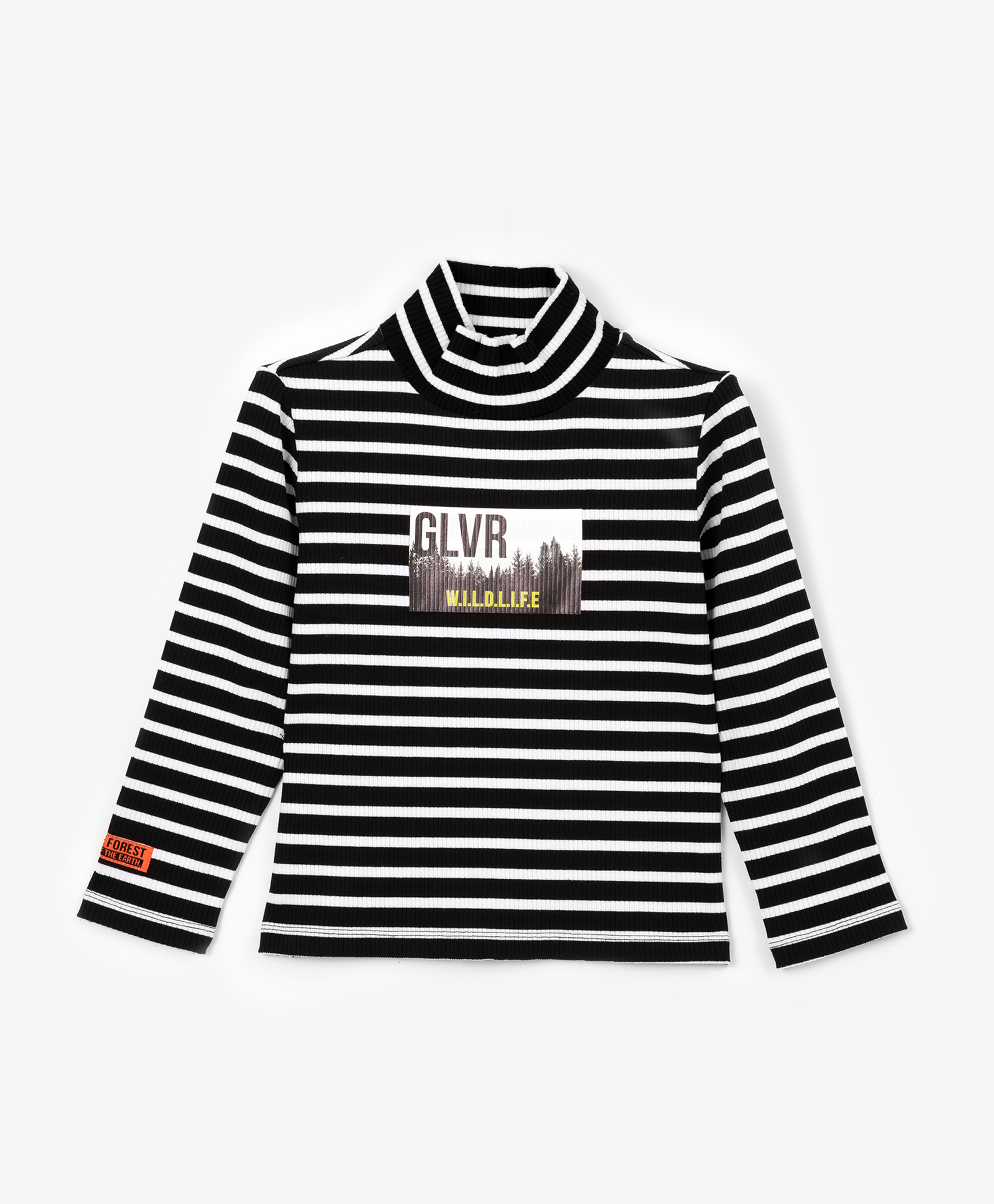 фото Водолазка из полосатого трикотажа в мелкий рубчик gulliver