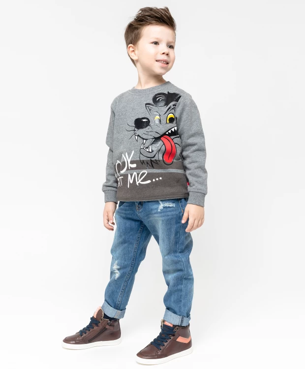 фото Серая толстовка с принтом gulliver (110)