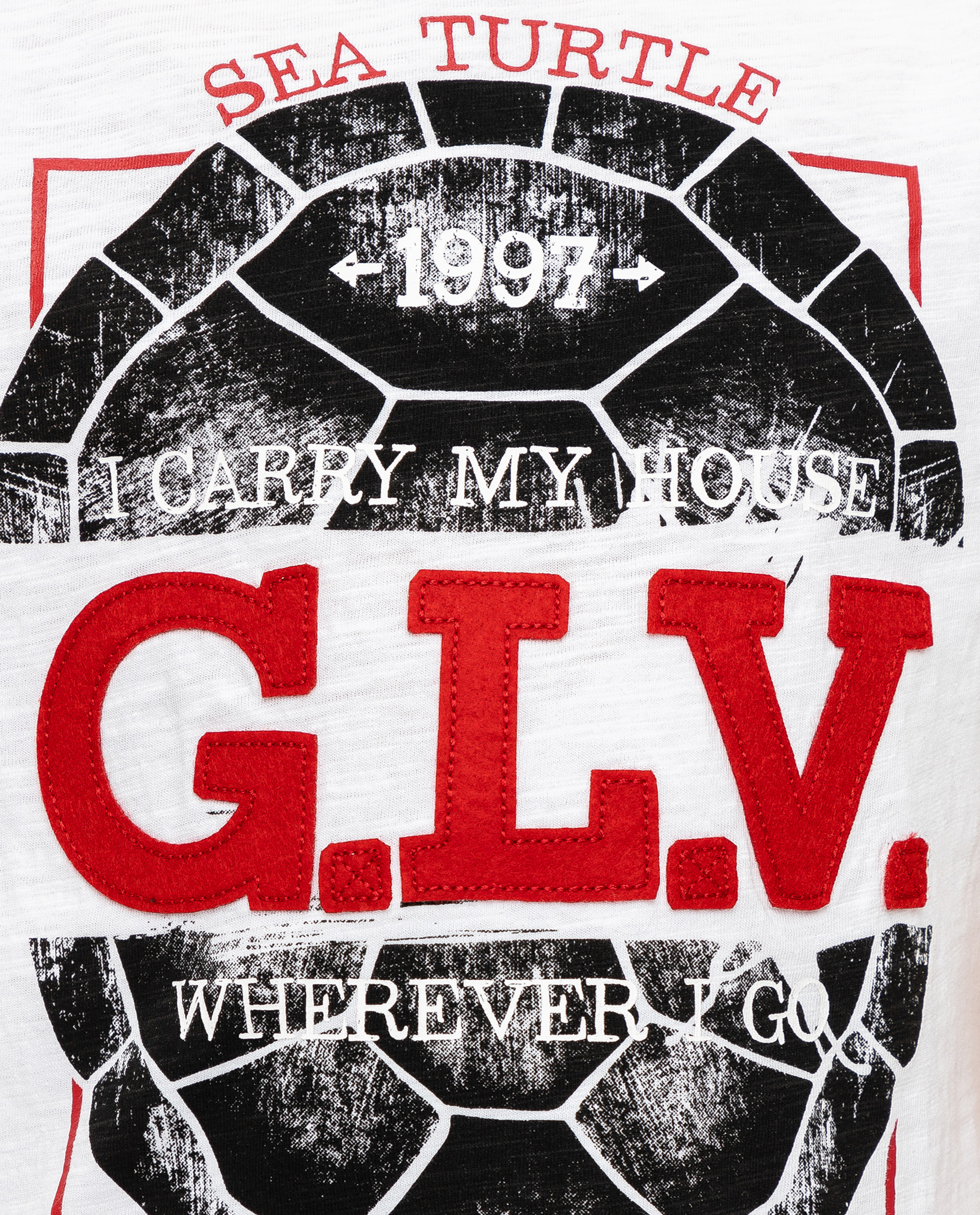 фото Футболка с принтом gulliver