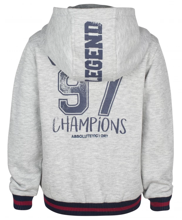 фото Серая толстовка с капюшоном gulliver (116)