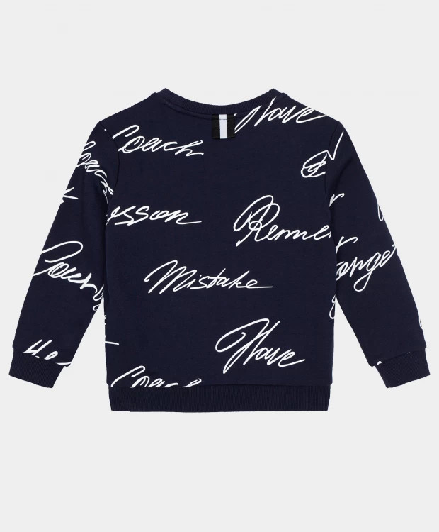 фото Синяя толстовка gulliver (104)