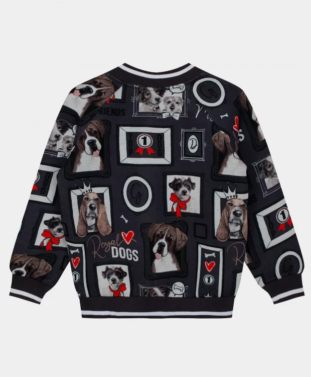 фото Серая толстовка gulliver (134)