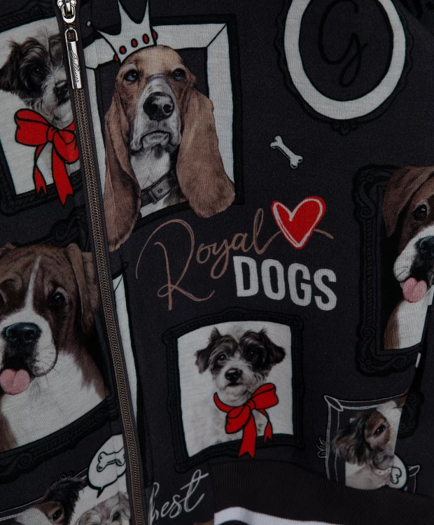 фото Серая толстовка gulliver (134)