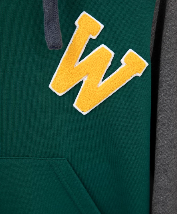 фото Толстовка из футера с принтом в стиле колорблокинг gulliver (134)