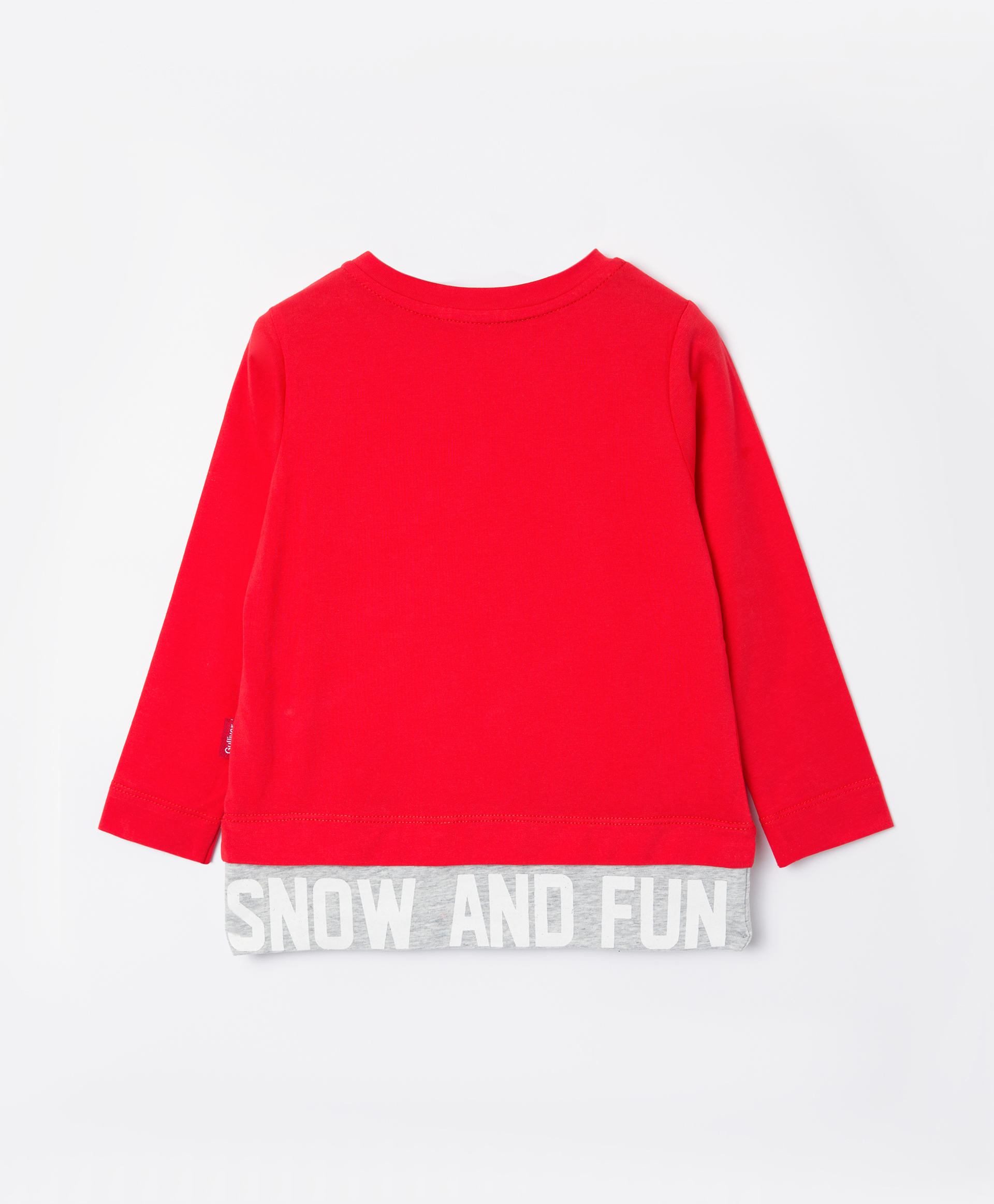 фото Футболка с принтом gulliver