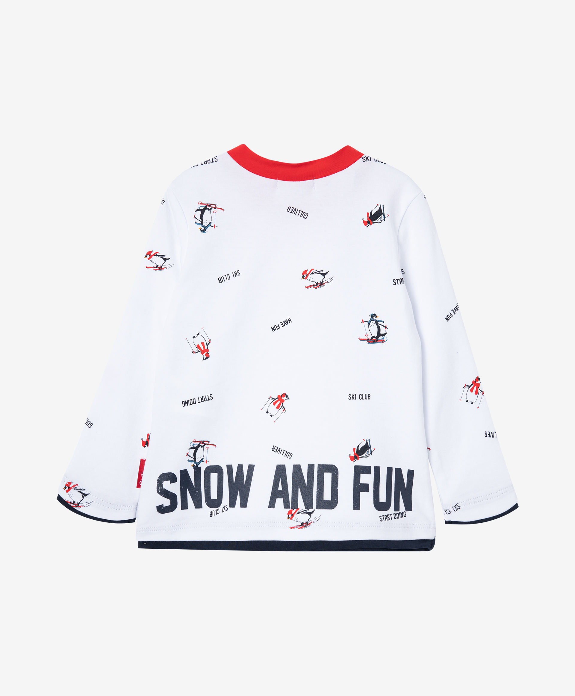 фото Футболка с принтом gulliver