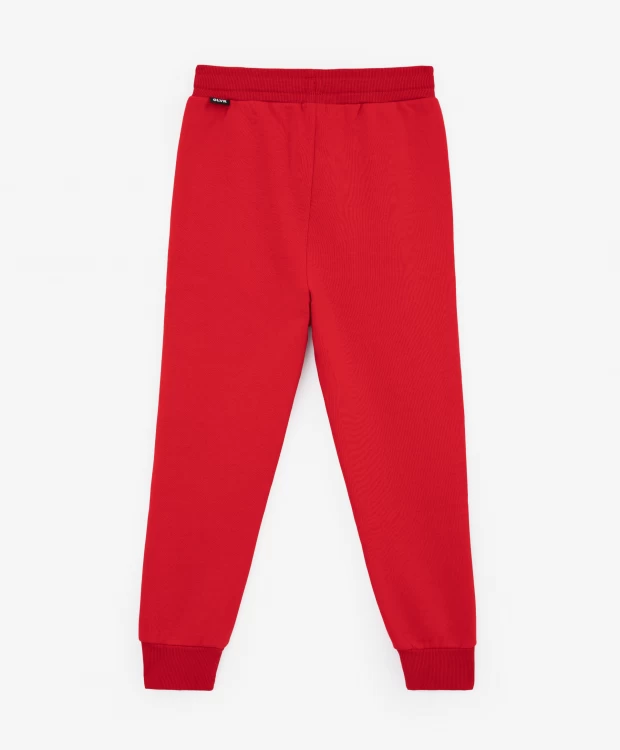 Трикотажные брюки красные с начесом Gulliver