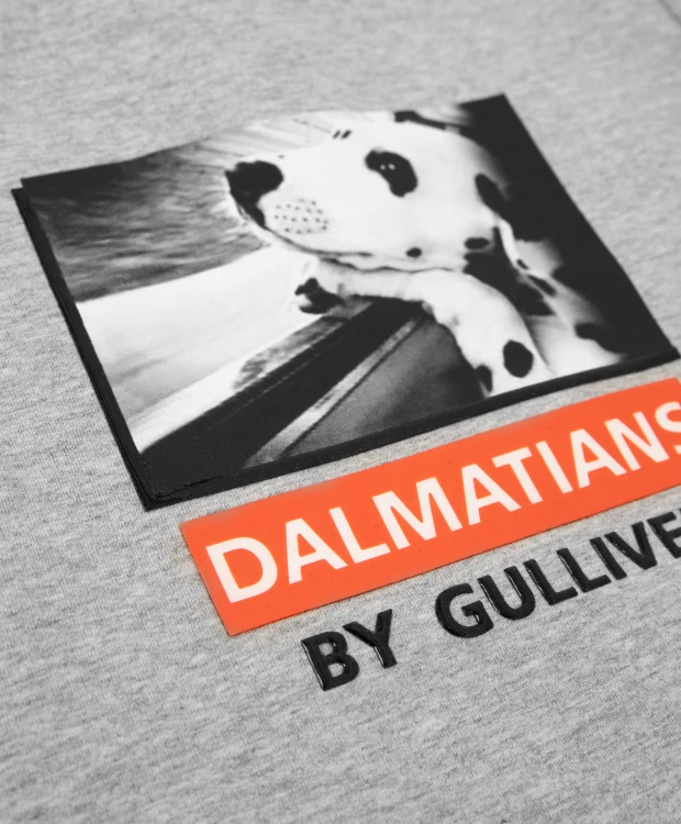 Толстовка из футера серая Gulliver