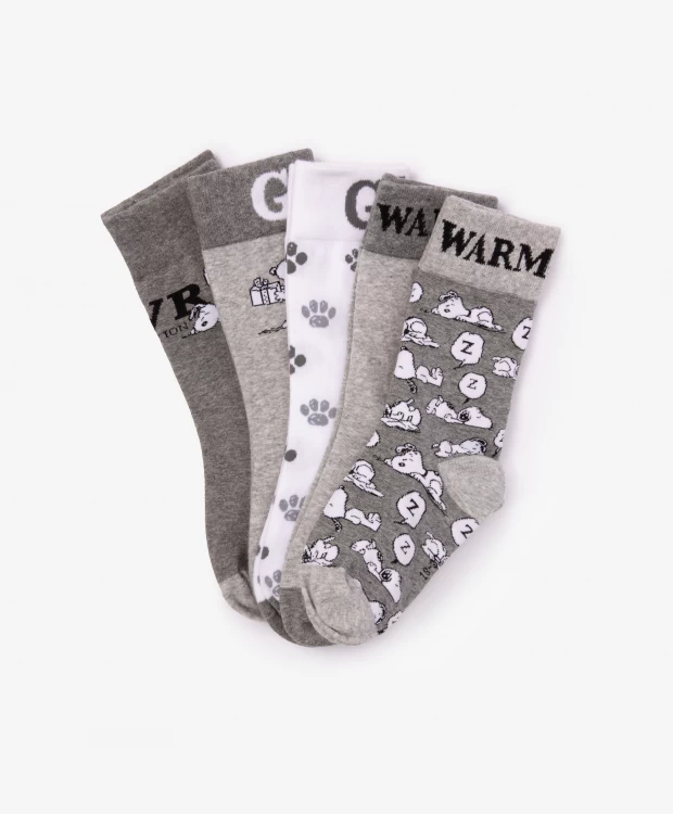 Комплект носков для мальчика с принтом в подарочной упаковке Gulliver (18-20)